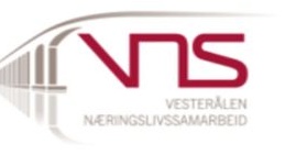 VNS logo